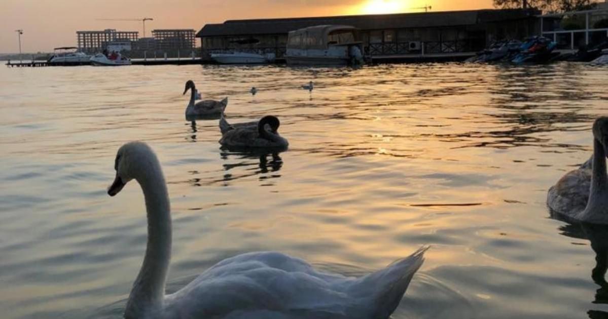 Hotel La Scoica Land ナボダリ エクステリア 写真